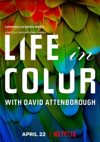 دانلود سریال Life in Colour 2021
